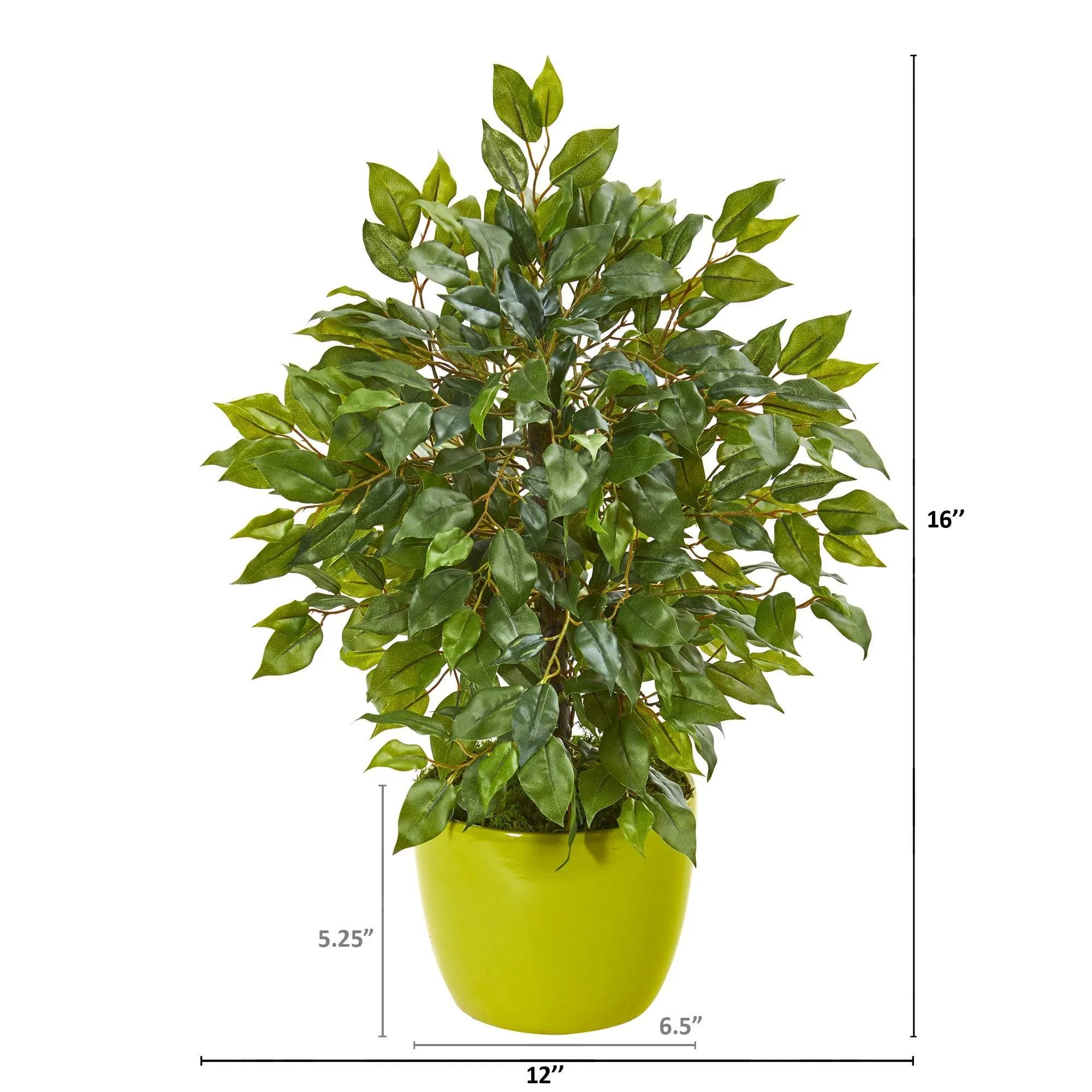 16” Mini Ficus Artificial Tree in Green Planter