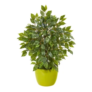 16” Mini Ficus Artificial Tree in Green Planter