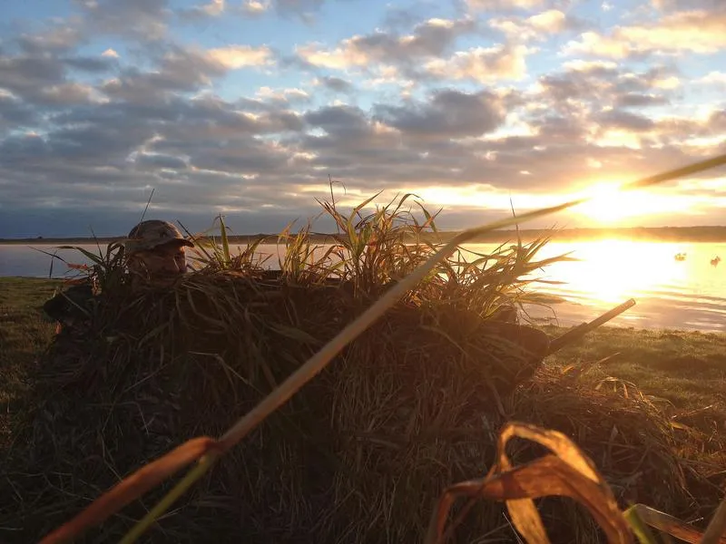 Game On Molesworth Laydown Blind - Bulrush Camo