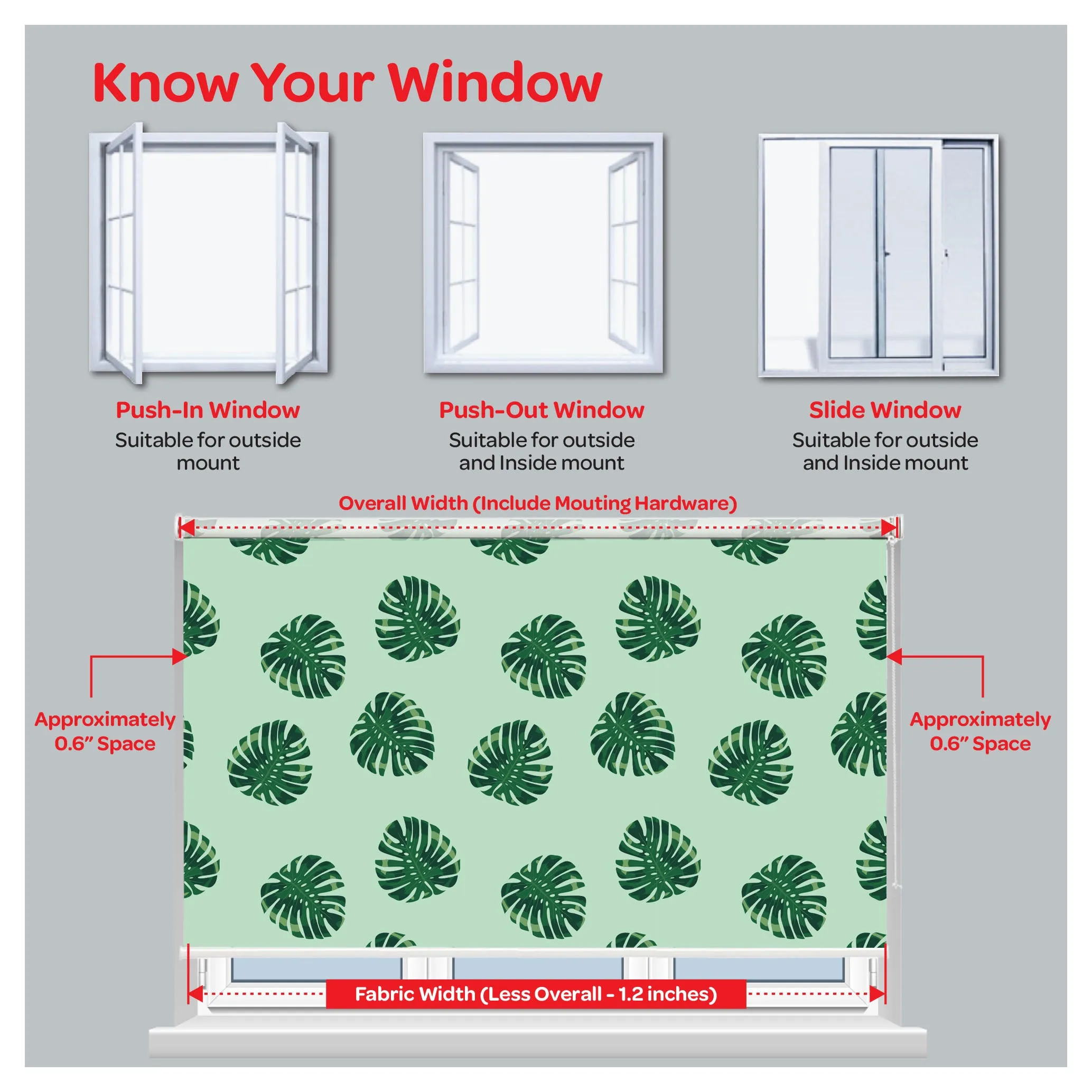 Monstera Borsigiana Aurea Marmorata Print Window Roller Shade