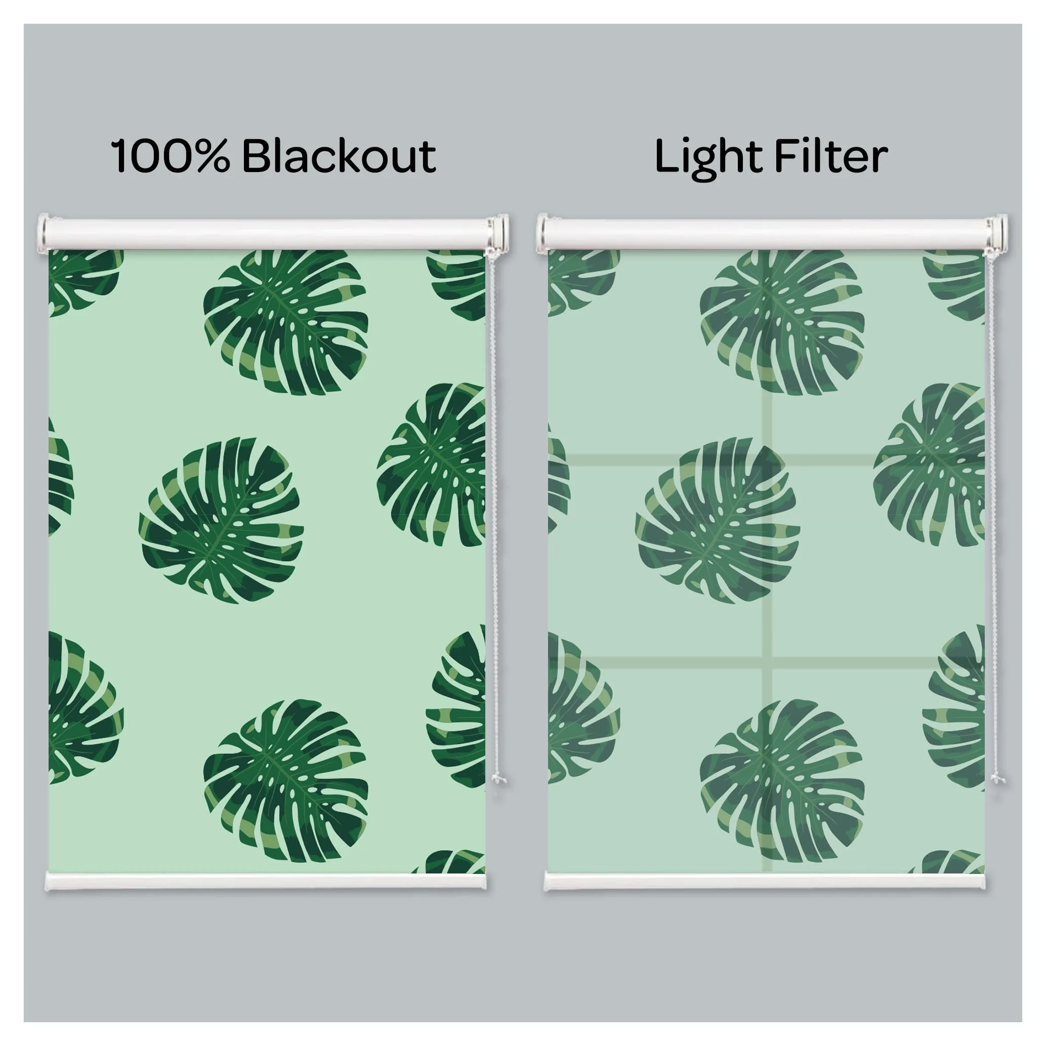 Monstera Borsigiana Aurea Marmorata Print Window Roller Shade