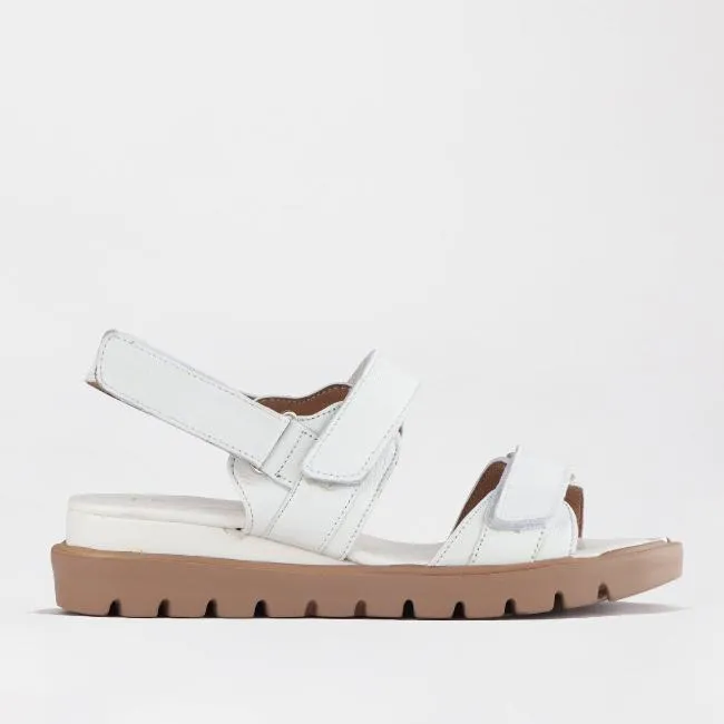 Triple Velcro straps Sandal in White - 12667